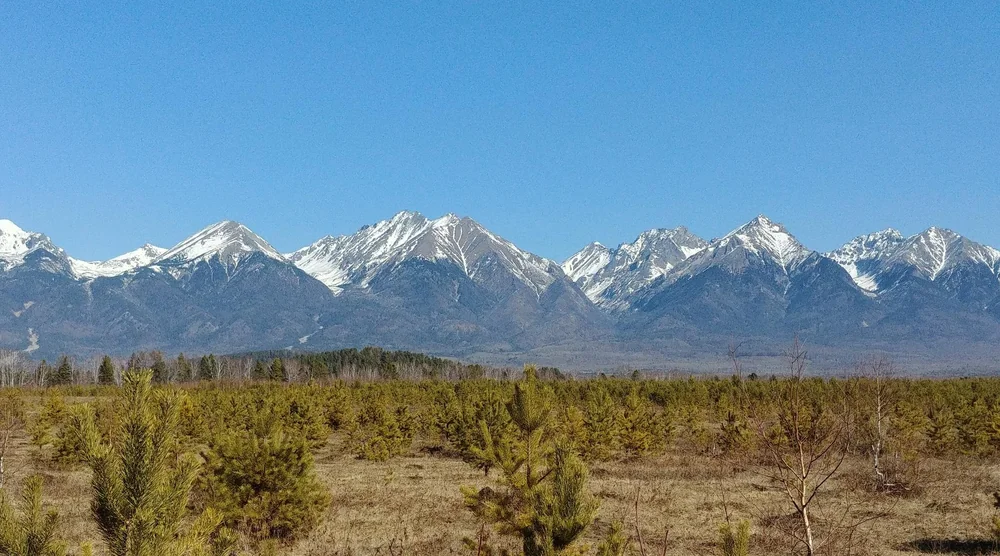 Snow-capped mountains and pine forest in Tunka Valley, Arshan