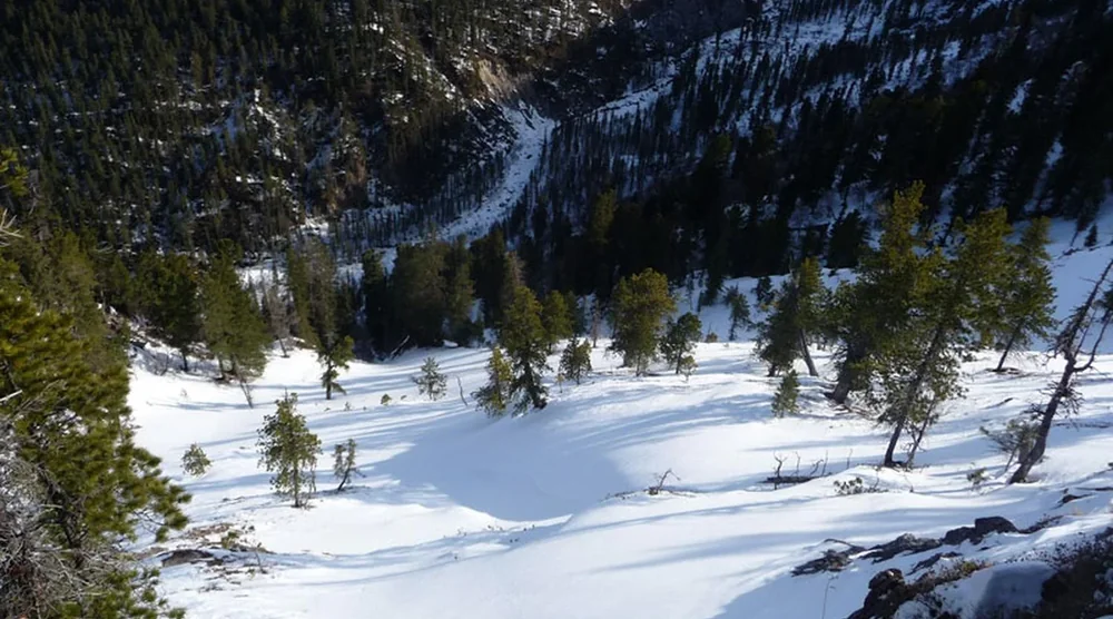 Snowy mountain landscape and pine forest in Tunka Valley Arshan