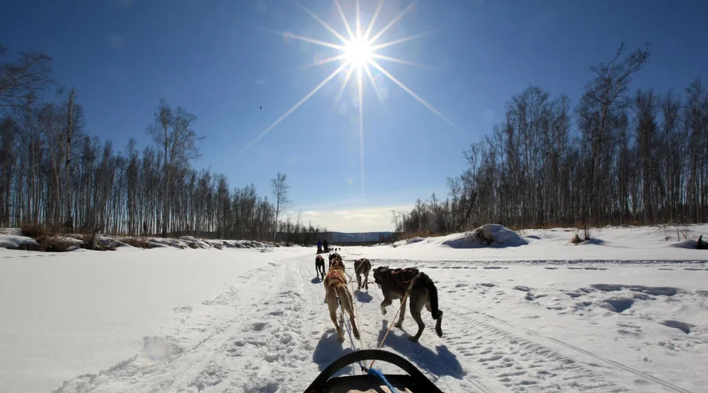 Husky dogs pulling a sled through a snowy landscape under a bright sun during a dog sledding tour at Lake Baikal
