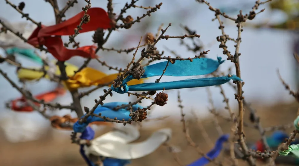 Colorful ritual ribbons tied to bare branches on Olkhon Island, Lake Baikal