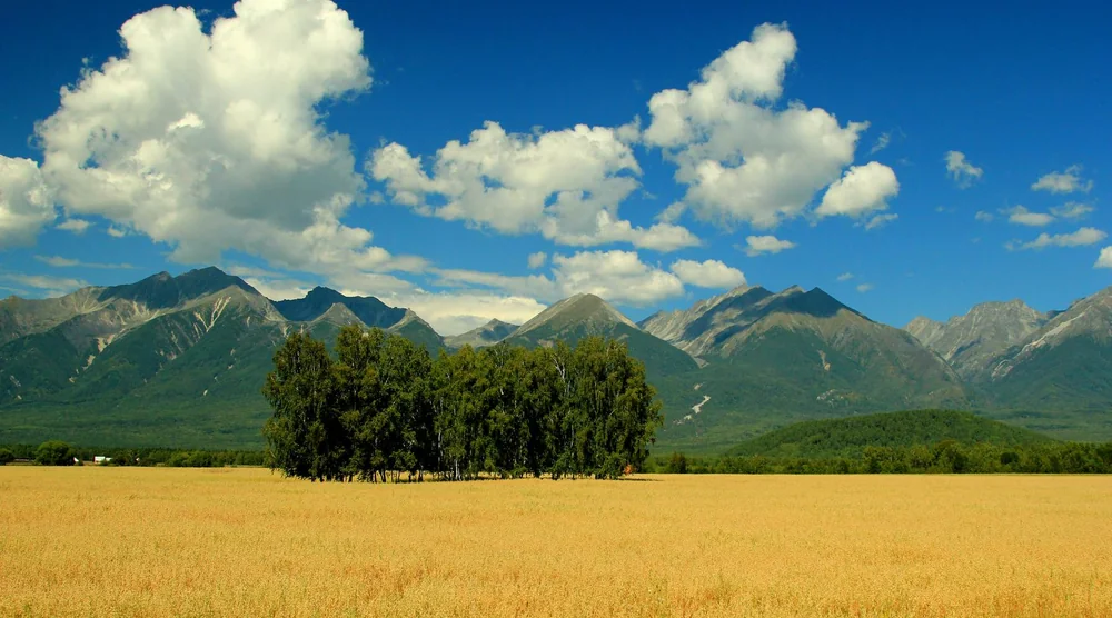 Scenic view of mountains and a field in Arshan Tunka Valley Buryatia