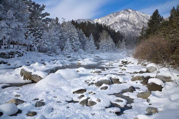 Аршан 1 день